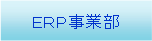 ERP���ƕ���